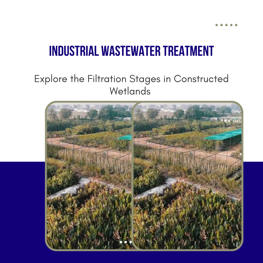 Exploring the Filtration Stages in Constructed Wetlands for Industrial Wastewater Treatment