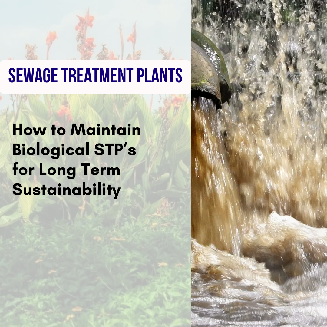 Sewage Treatment Plants: How to Maintain a Biological Sewage Treatment Plants