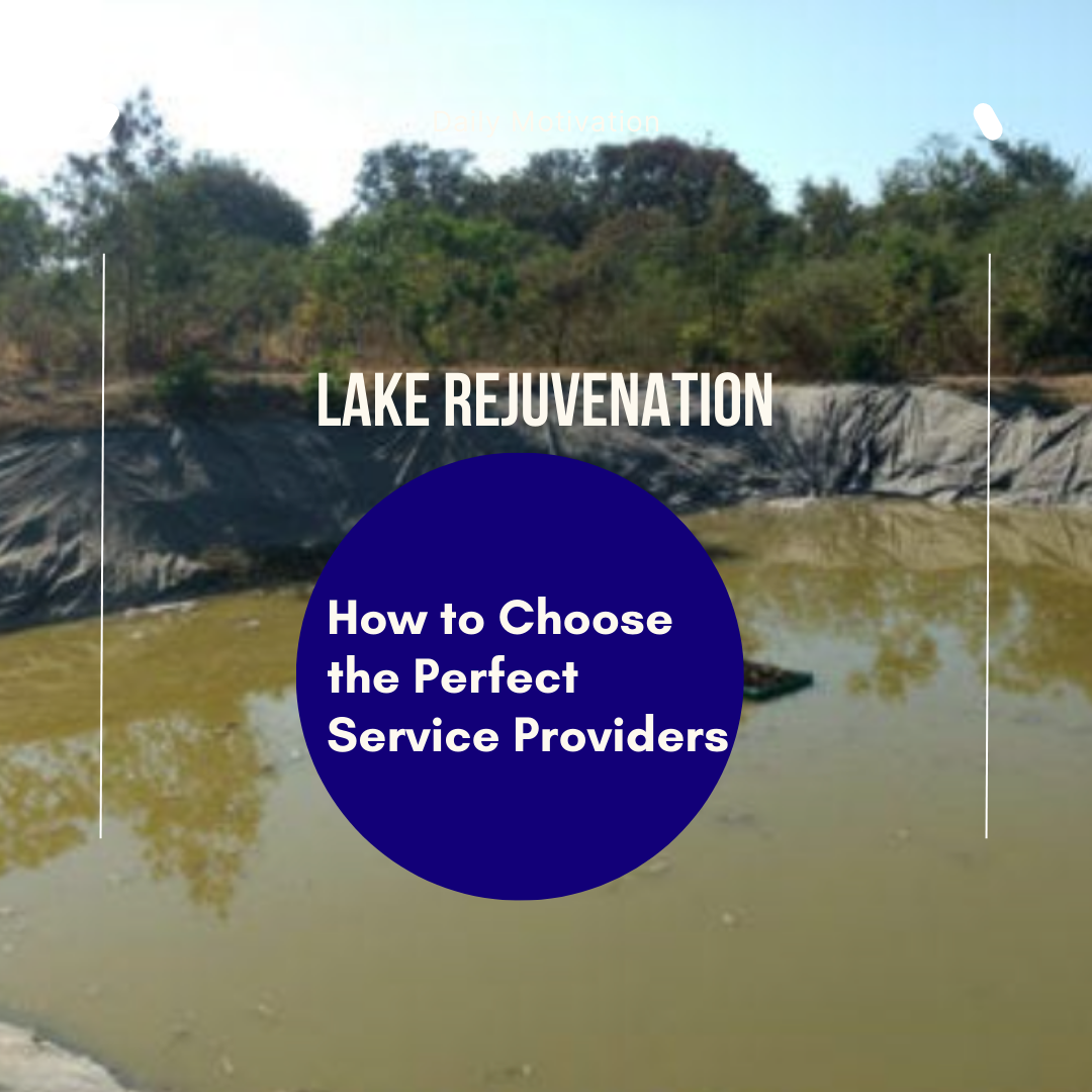 Lake Rejuvenation - How to Choose the Perfect Service Providers
