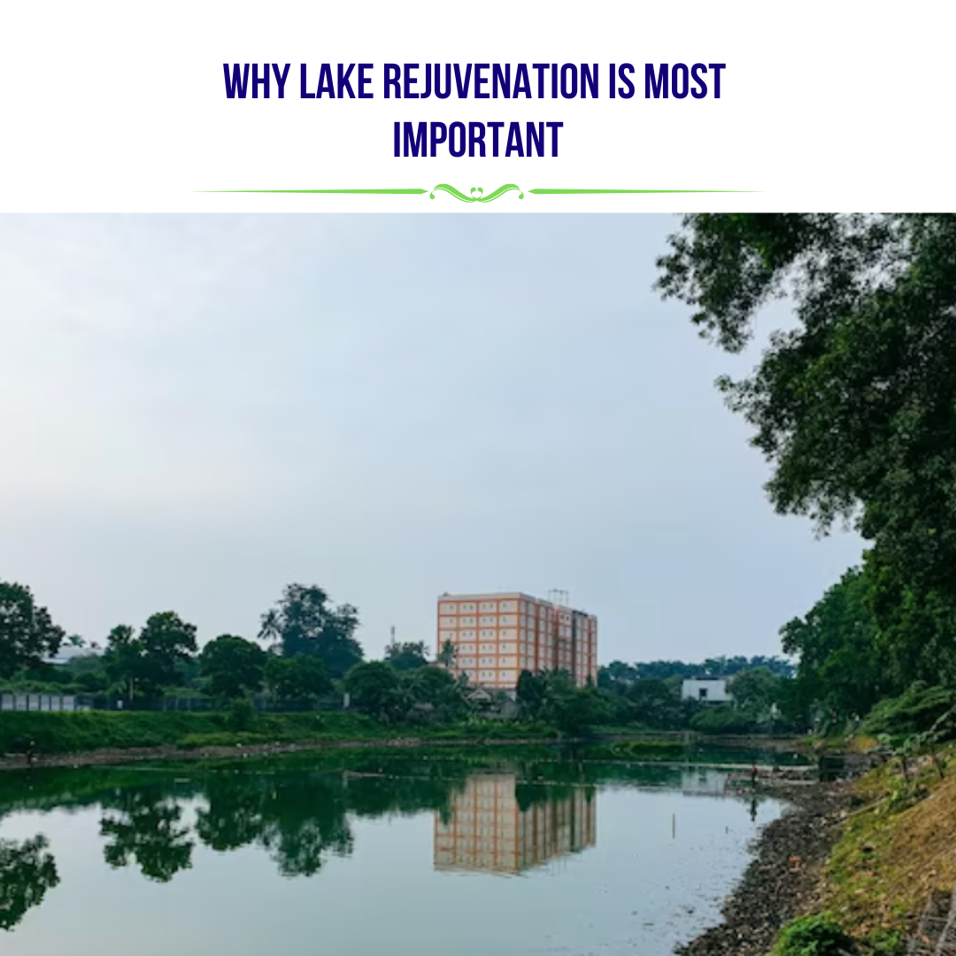 Why Lake Rejuvenation is Most Important  